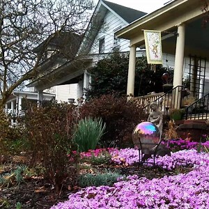 50 reactions | The beginning of spring in Elizabeth City! Hover over video, raise the volume and whistle along! | Visit Elizabeth City, NC | Facebook