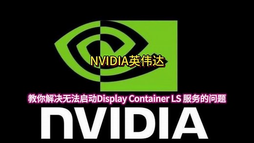 NVIDIA英伟达教你解决无法启动Display Container LS的问题