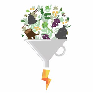 Biomassa: o que é, vantagens e desvantagens - Brasil Escola