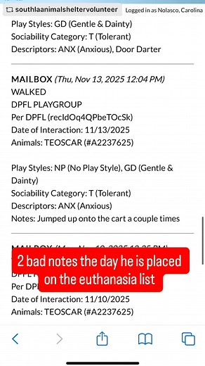 1.3K views · 89 reactions | Great news… TEOSCAR was rescued! Please...