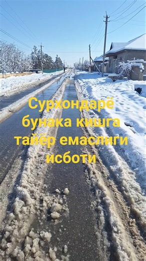 23 января 2026 г.