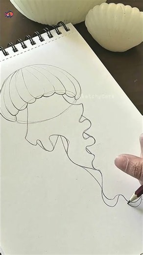 Learn to Draw a Jellyfish Step by Step