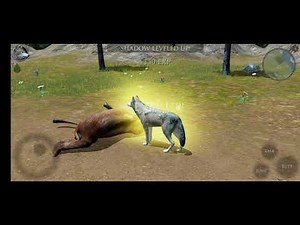 Ultimate Wolf Simulator 2 Gameplay Ep 1-3