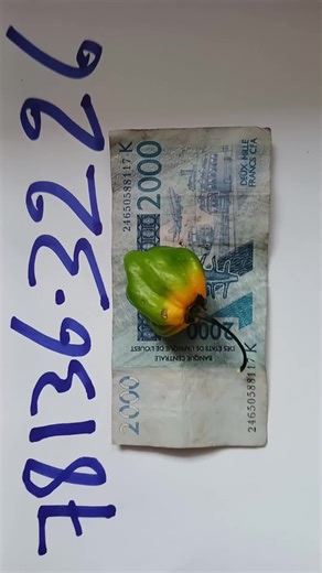 Vidéos de Diop Diop (@diop.diop517) avec son original - Diop Diop