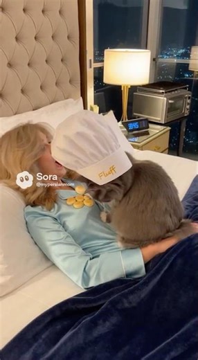 A cat making biscuits #cats