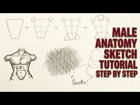 🤯 Male anatomy drawing step by step #sketch #tutorial #drawing #art #anime #viral #ytviralvideo