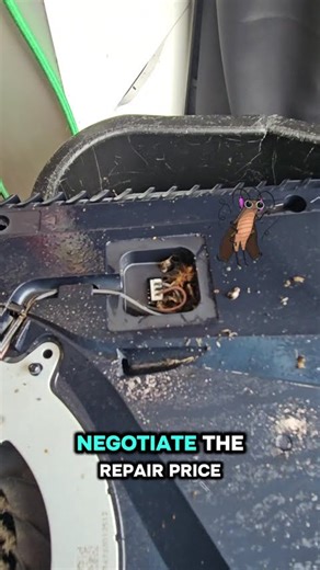 Would you work on a roach infested PS5?