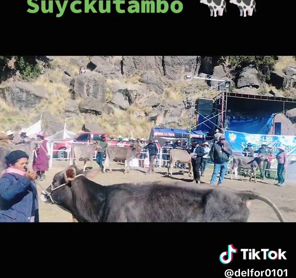 Videos de Delfor 🐱 (@delfor0101) con “sonido original - Delfor 🐱”