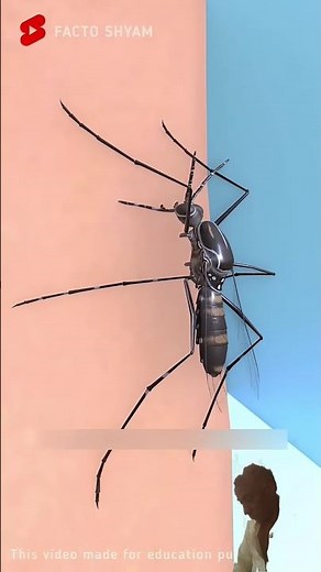 Hidden Secrets of Mosquito Bites: Explained in 3D Animation 😲 #shorts​ Amazing facts about mosquito