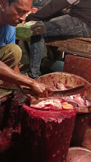 Finding and Catching Delicious Small Prawns with a Hand Net in the River! 🍤✋