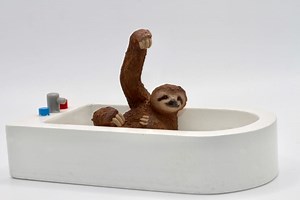 Watch Baby Sloths Enjoy Their Bath Time [VIDEO] - One Green Planet