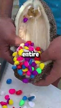 "Why are we paying him so much?" my new VP sneered at my salary before restructuring my role...
