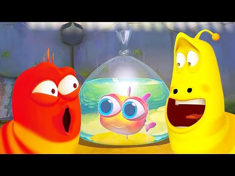 SAVE THE CUTE FISH! | LARVA | Cartoons for Kids | WildBrain Kids