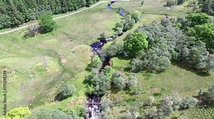 Low altitude flight through the glen between Oban and Taynuilt, Argyll - starting at the waterfall Stock Video