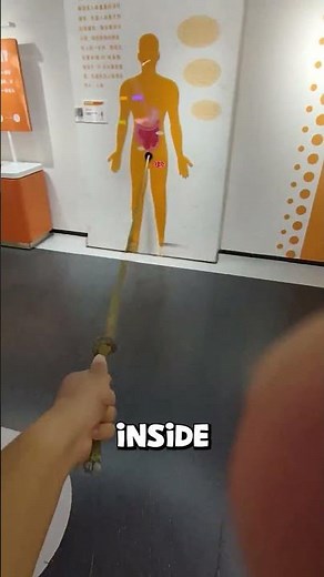 You Won’t Believe How Long Your Intestines Really Are!