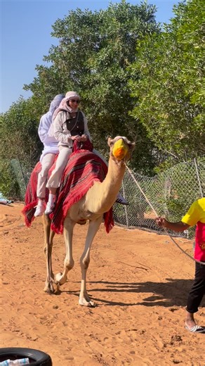 ☀️🌴DESERT SAFARI DUBAI 🐫🇦🇪 on Instagram: "Join this safari experience by 4WD Land Cruiser in Desert with @safari_dubai_adventures 🇦🇪 #instagram #2024 #viralvideos #photography #travling #dubai #safari #dubaisafari #safaridesert #safaridesertdubai #desert #safaritour #dubaidesertsafari #dunebashing #dubailifestyleblogger #pageforyou #bookwithus"