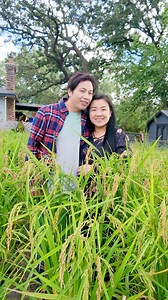 395K views · 10K reactions | Ntaj Neeb Yaj Thiab Poj Niam Me Nyuam Mus Thaij Duab Hav Nplej Nyob Lav Minnesota | Phan Quốc Bảo | Facebook