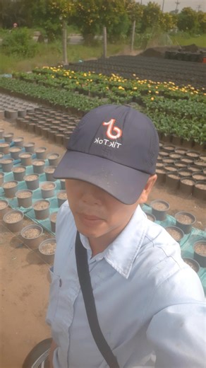 Huỳnh Tinh Vlog on Reels