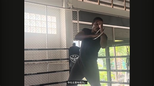 咏春 费城壳 有趣的思路