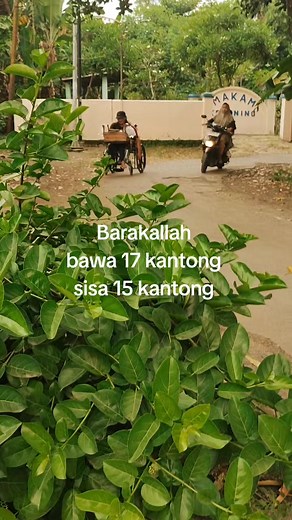 Bawa 17 Kantong Ikan Koi, Sisa 15 Kantong — Jualan Ikan Hias Indonesia