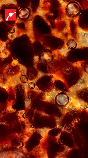 Coffee Under a Microscope is Visually Energizing