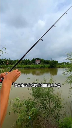 Best fishing rod to catch big fish with easiest fishing tricks?!