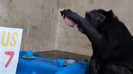 Sedgwick County Zoo on Reels