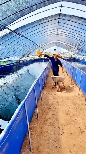 Feeding leeches: A lightweight, durable, and flexible high-density farming environment