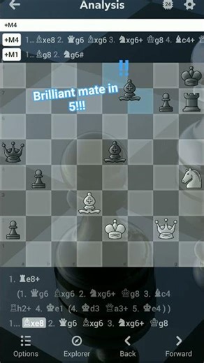 beautiful mate in 5 #chess #funk