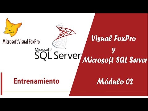 21 - Procedimientos almacenado Guardar Artículo en VFP y SQL Server - Módulo 02 | Visual FoxPro |