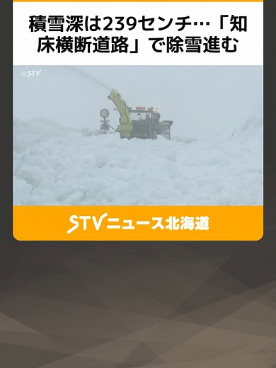 積雪深は239センチ…「知床横断道路」で除雪進む ４月下旬に通行止め解除目指す 北海道 #知床横断道路 #除雪 #通行止め #TikTokでニュース
