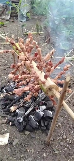 boat rental (@boat.rental2)’s videos with original sound - boat rental