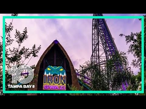 Beams removed from Busch Garden's Iron Gwazi after guest hits hand while riding