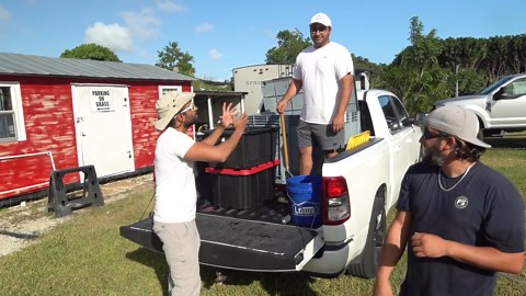 LEGAL Giant FRESHWATER STINGRAYS You can CATCH as a PET