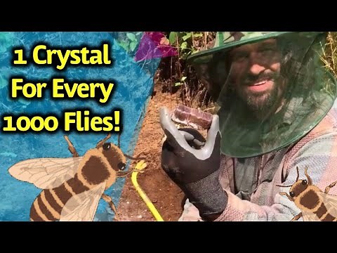 Digging Crystals & Gems in Canada & Getting Attacked by Bugs!