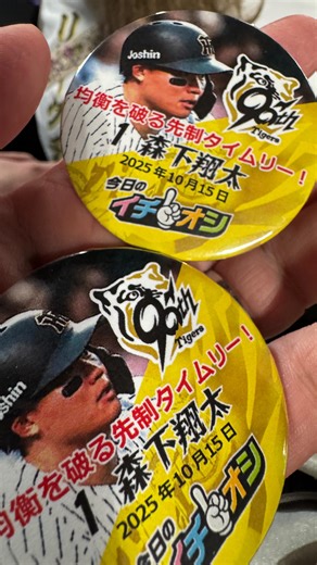 シェリー on Instagram: "クライマックスファイナル第２戦 森下選手のサヨナラホームランでタイガースが勝利しました 10時を超える長い時間でしたが最高の勝ち方で最高でした #クライマックスファイナル第２戦 #阪神タイガース #森下サヨナラホームラン"