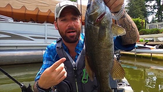 How to catch and cook bluegill sunfish