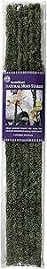 SuperMoss (22051) Moss Stakes Preserved, Fresh Green, 24" (6 pack)