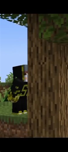 bro beated minecraft backwards #minecraft #yessmartypie