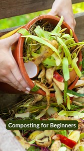 36 reactions | Composting 101: Turn Scraps into Garden Gold! ...