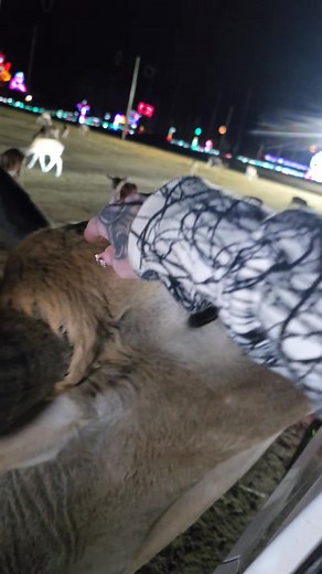 7K views · 59 reactions | Heather Miller on Reels | Facebook