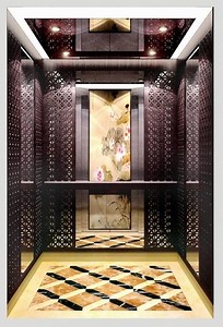 [Hot Item] Passenger Elevator Lift with Installation Technical Support and Long Term After-Service