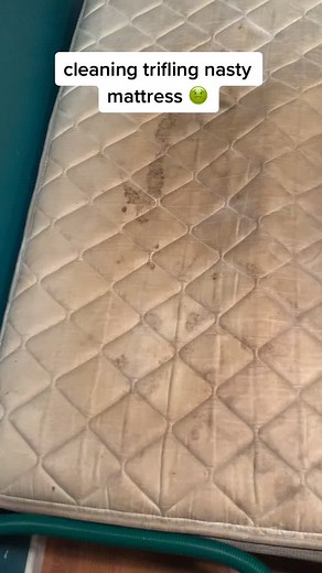 trying little green machine on the mattress that created covid #fyp #cleantok #cleaning #deepclean #cleaningmotivation