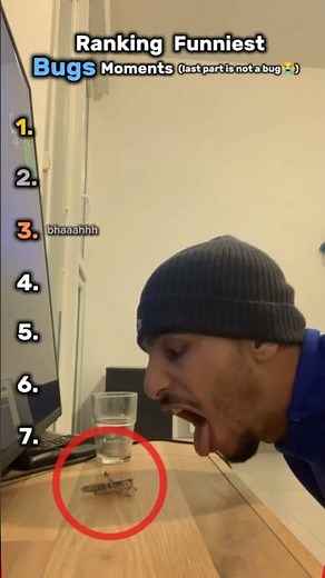 Ranking Funniest Bug Moments 🦗💀