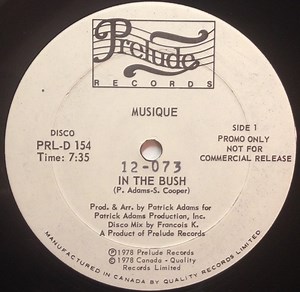 Musique -  In The Bush