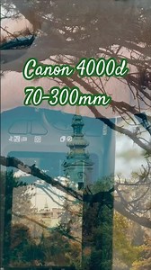 Canon 4000d with 70-300mm dg macro #asmr #canon #photography