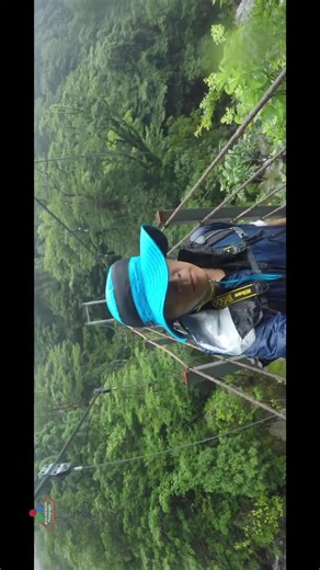 屋久島での美しい旅の体験