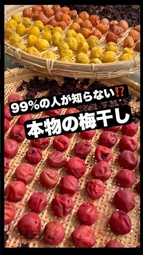 Traditional Umeboshi