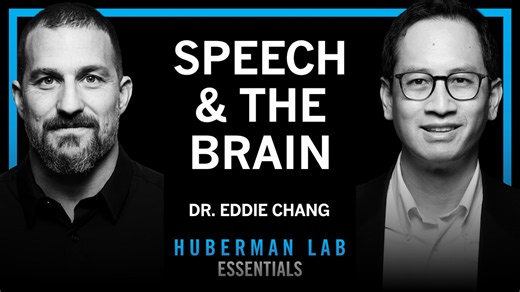 Essentials: The Science of Learning & Speaking Languages | Dr. Eddie Chang