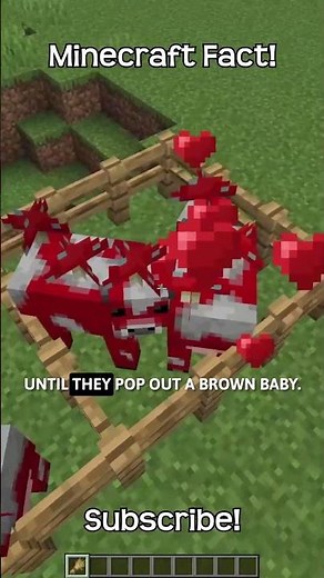 How To Get A Brown Mooshroom If You Only Have Red Ones In Minecraft?!